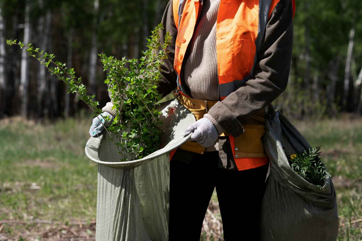 Best Tree Branch Trimming  in USA